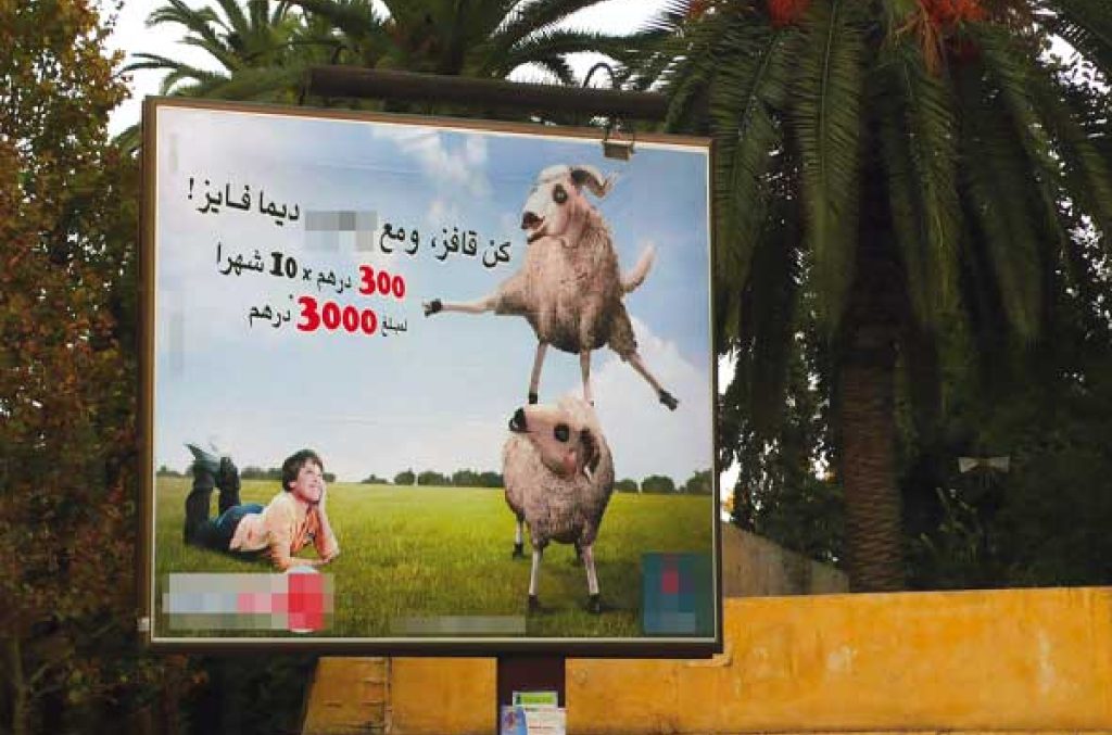 اضاحي العيد