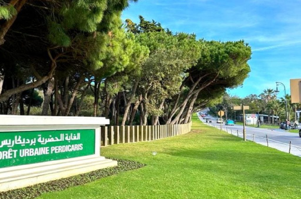 طنجة