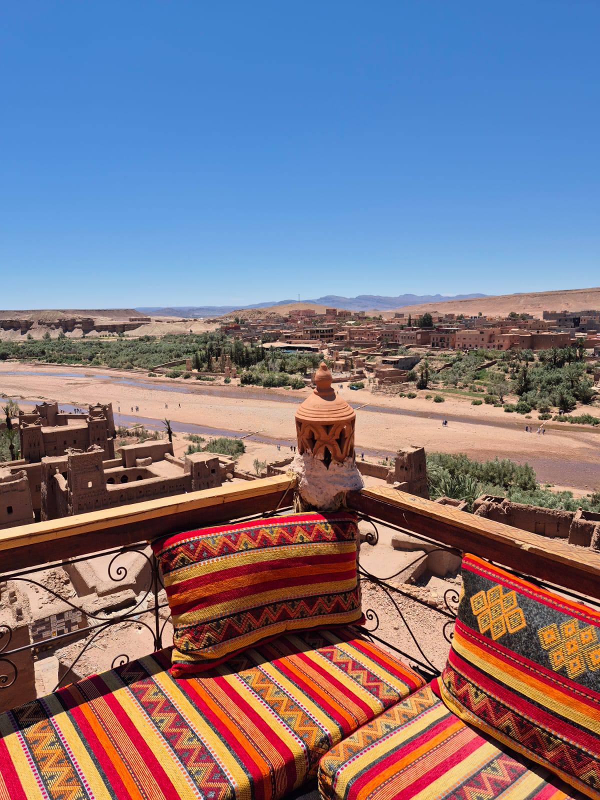 495374960 10163128399124235 5558279332545178764 n