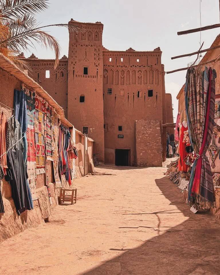 496942278 10163140012214235 2786028142713399202 n